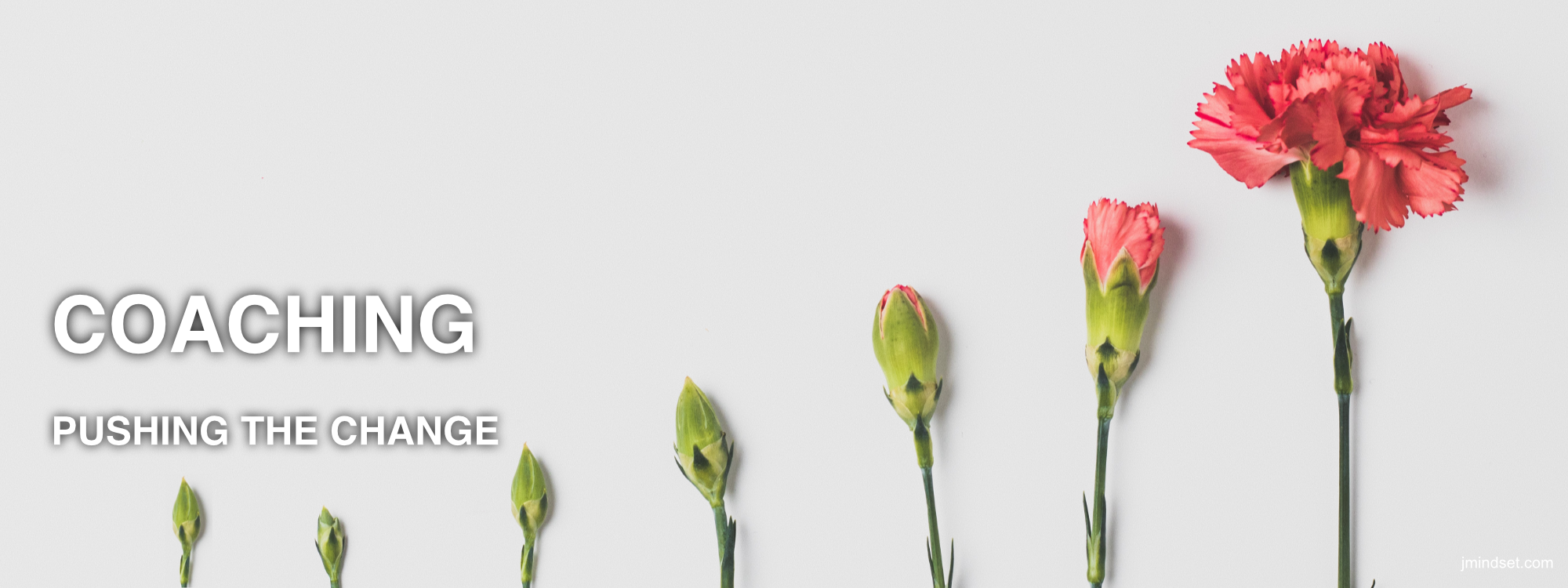 Elastic and Inelastic Change